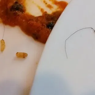 this little gem came with my order! free of charge!