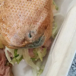 a close up of a sub sandwich