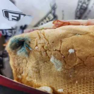 It speaks for itself. This is a ham sub. It comes with a moldy sandwich, lays, and a cookie.