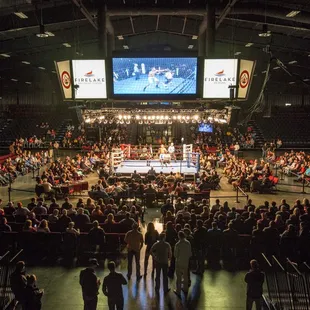 a crowd of people watching a boxing match