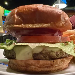 Honestly, I was expecting mediocrity, but this burger was very good in every way!