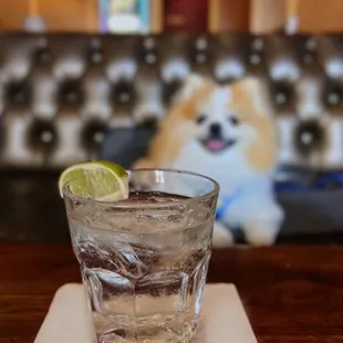 Fortaleza Blanco, on the rocks | $11