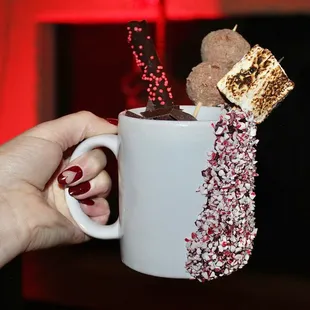 The hot cocoa topping options included house made marshmallows, donut holes, whipped cream, caramel sauce, holiday sprinkles, coconut, etc.