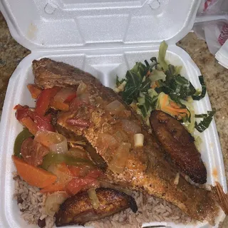 Red Snapper