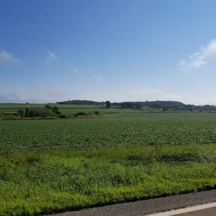 a view of a green field