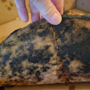 a hand holding a piece of pizza