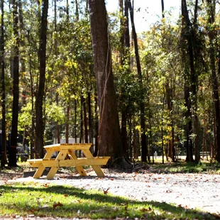 Each camp site contains a picnic table and fire pit.