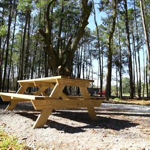 Each camp site contains a picnic table and fire pit.