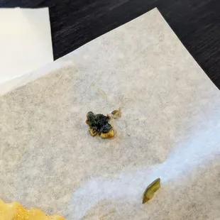 Chili cheese fries with a side of mold.