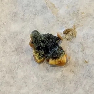 Mold from chili cheese fry