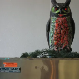 an owl on top of a stove