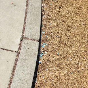 These pictures are just a fraction of the amount of garbage you will come across