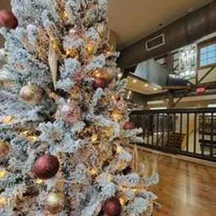 food, sushi and sashimi