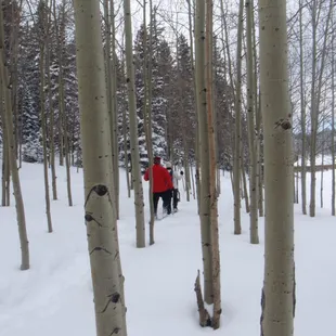Snowshoeing the Pikes Peak Region