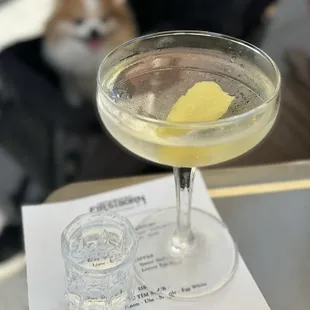 Hendricks Vesper ($17) + GG Shot ($14)