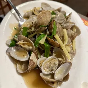 Clams
