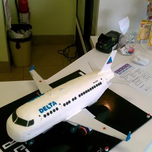 a model of a delta airplane