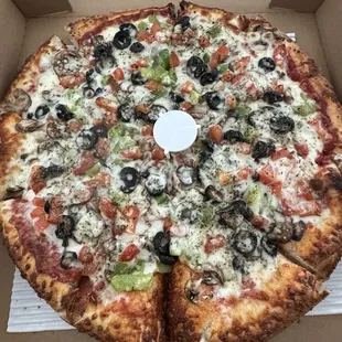 Large Veggie pizza
