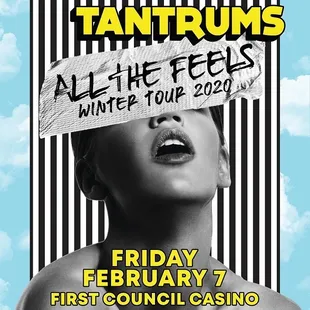 a poster for fitz and the tantrums