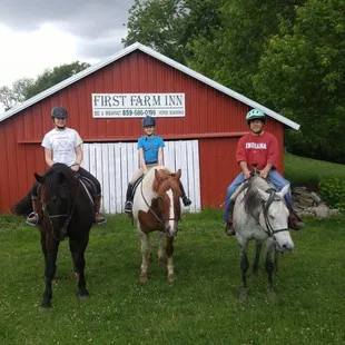 Take a ride through our beautiful landscape on one of our well trained horses.