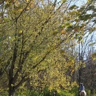 Girlfriends getaways at First Farm Inn offer the opportunity to ride horses, sit in the outdoor hot tub, chat on the porch...