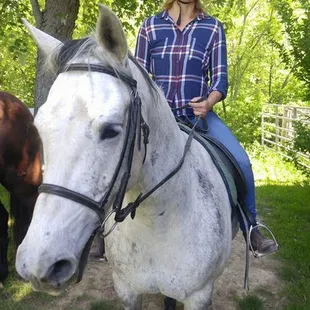 Take a ride through our beautiful landscape on one of our well trained horses.