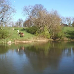 First Farm Inn's rolling hills are just outside of Cincinnati, 20 minutes from downtown.