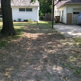 Jeremy &amp; Gina Brilhart Yard or better known as Gina G.