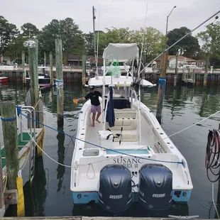 All aboard! Let&apos;s do this! Are you ready for some dolphins.