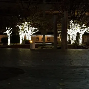 So quiet &amp; still in downtown abq.  Currently 33° out here... no one else in sight....