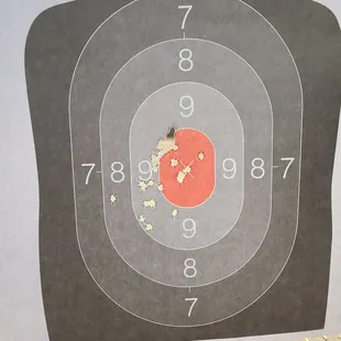 Sig Sauer SP2022 10 yards