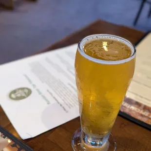 Pliny the Younger (2025)