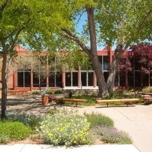 Church Courtyard