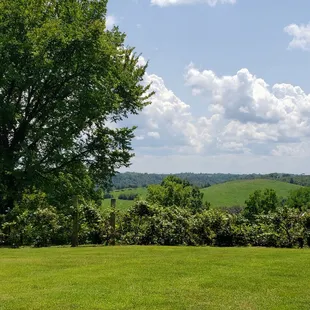 Scenery at First Vineyard