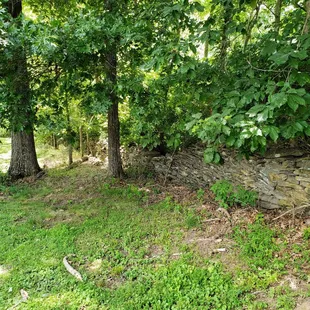 Grounds at First Vineyard