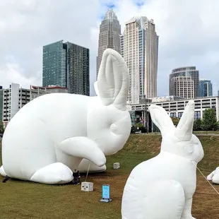 Intrude Bunnies | Instagram: @telephonesmoothie
