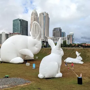 Intrude Bunnies | Instagram: @telephonesmoothie