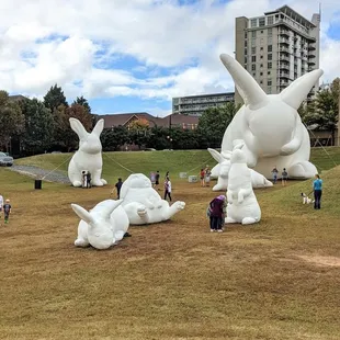 Intrude Bunnies | Instagram: @telephonesmoothie
