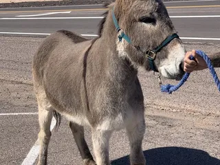 Breakfast at Tina’s