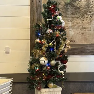 Already decorated for Christmas and Nov just started