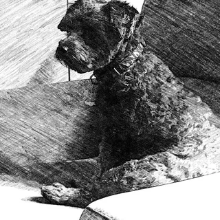 Gracie G.