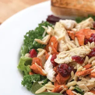 a salad with chicken, carrots, and cranberries