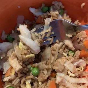 This was supposed to be chicken fried rice. I don&apos;t think that white stuff is actually chicken....