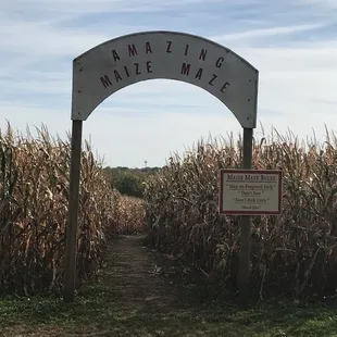 Entrance to maze