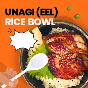 Fresh water eel over rice