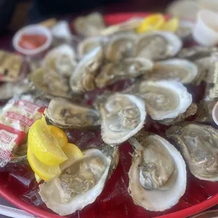 Fish & Slips Marina Raw Bar & Grill