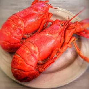 two lobsters on a plate