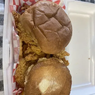 Red snapper