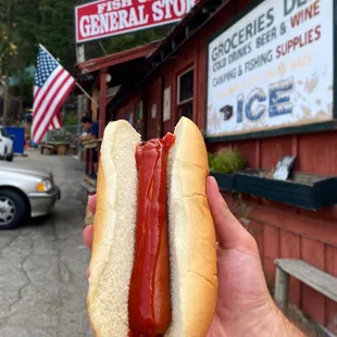 Hot dog