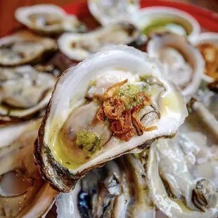 Oyster